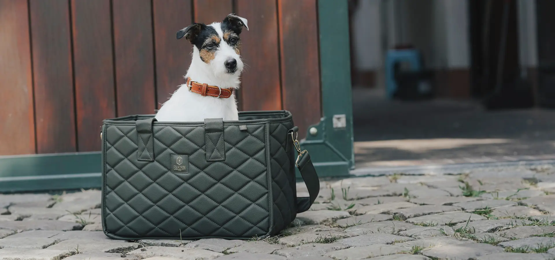 Hund mit Halsband Craft